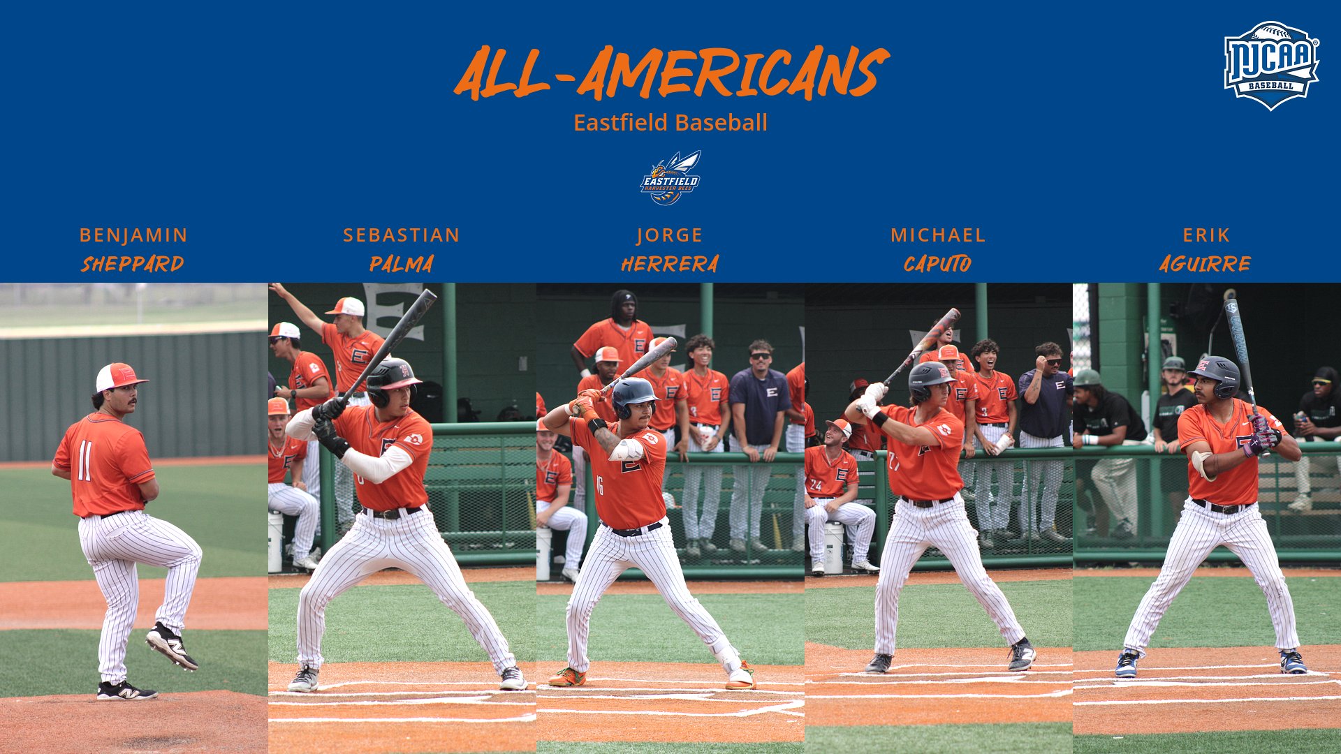 Harvester Bees Collect 5 All-America Honors